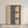 Highboard ADRIAN avec 1 porte pleine et 1 porte vitrée en coloris anthracite et chene coast