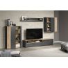 Armoire suspendue ADRIAN avec 1 porte pleine et 1 porte vitrée en coloris anthracite et chene coast