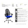 Chaise de Bureau ROLAND vert pomme avec accoudoirs