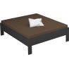 Lit futon ARAMIS 160 x 200 cm en gris mat