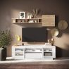 Meuble TV 2 portes 1 tiroir et 1 niche ANABELLA 2 BLANC MAT
