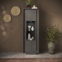 Vitrine 1 porte ANABELLA 2 LAVE