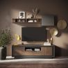 Meuble TV 2 portes 1 tiroir et 1 niche ANABELLA 2 LAVE MERCURE