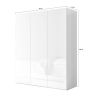 copy ofArmoire a chaussures 2 portes JERRY en blanc brillant hauteur 116 cm