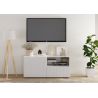 Meuble TV 120 cm JANEIRO BLANC avec 1 porte 1 tiroir et 2 niches