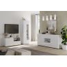Meuble TV 120 cm JANEIRO BLANC avec 1 porte 1 tiroir et 2 niches
