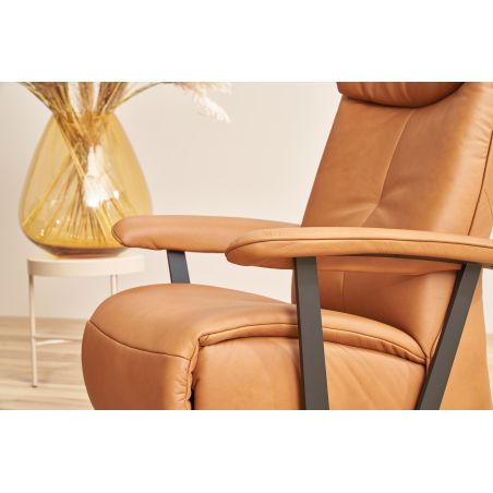 Fauteuil relax releveur 1 moteur EASYSWING 7357 en cuir 22 Bright de la marque HIMOLLA
