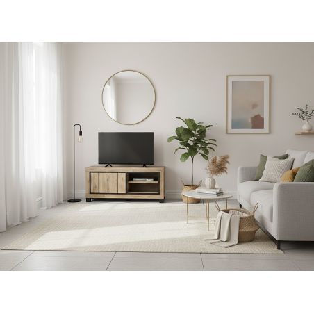 Meuble TV 120 cm GREGORY avec 1 porte et 2 niches