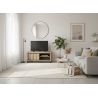 Meuble TV 120 cm GREGORY avec 1 porte et 2 niches