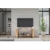 Meuble TV 120 cm LUCIUS avec 2 portes en décor chêne cadiz