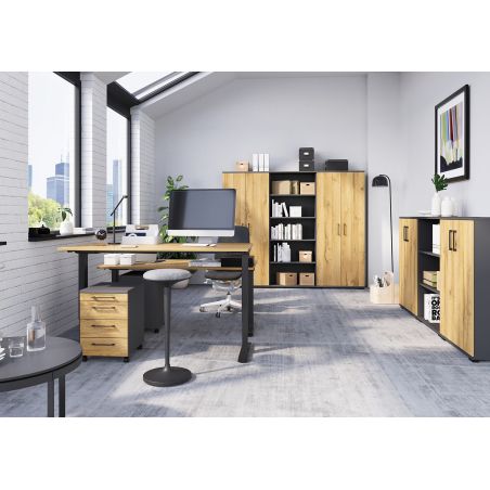 Armoire de bureau 4250 PRADES en décor chêne Grandson et graphite