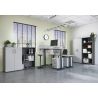 Caisson de bureau 4251 PRADES en coloris gris clair et graphite