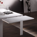 Allonge 48 cm BERGAME